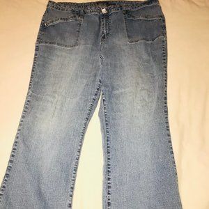 Zana Di Jeans Size 24W